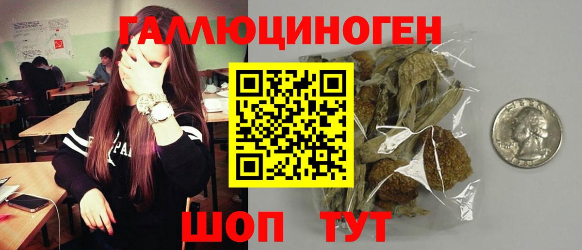 Новоалтайск  Галлюциногенные грибы Magic Shrooms  Вход с VPN 